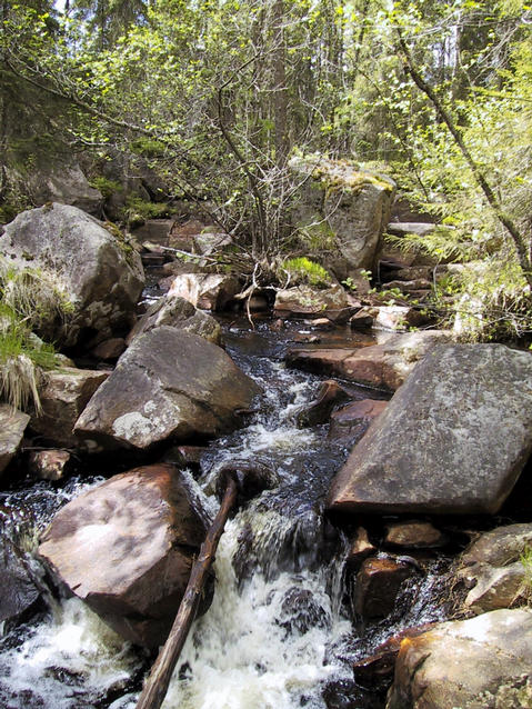 The only exciting scenery around is a stream