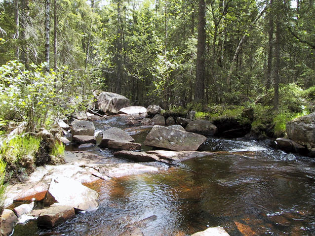 The stream is about 200m. from the confluence