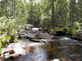 #6: The stream is about 200m. from the confluence