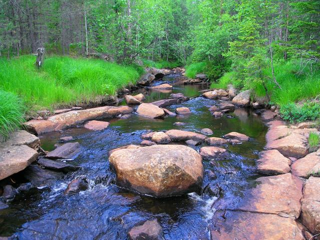 A small creek lies between the road and the confluence.