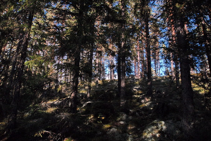 View north / Blick nach Norden