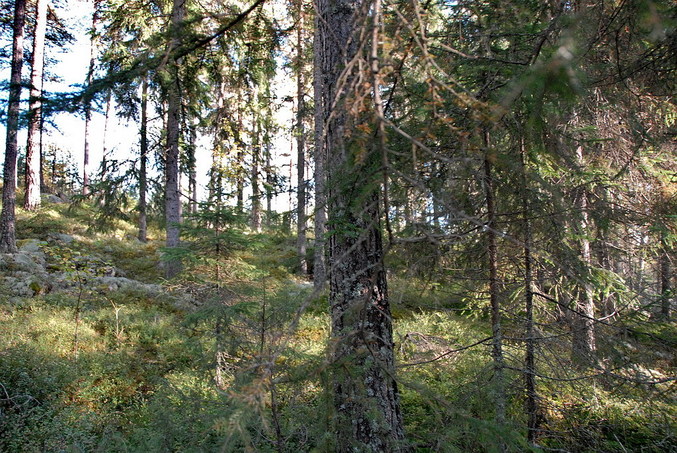 View west / Blick nach Westen