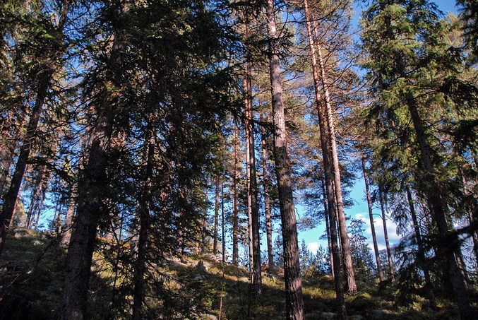 View east / Blick nach Osten