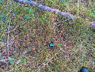 #11: sign/geocache at CP