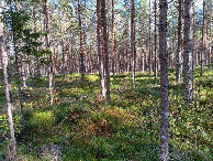 #2: Osten; view east