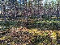 #4: Westen; view west