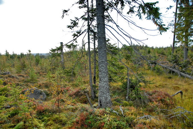 View south / Blick nach Süden