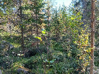 #2: Osten; view east