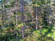 #4: Westen; view west