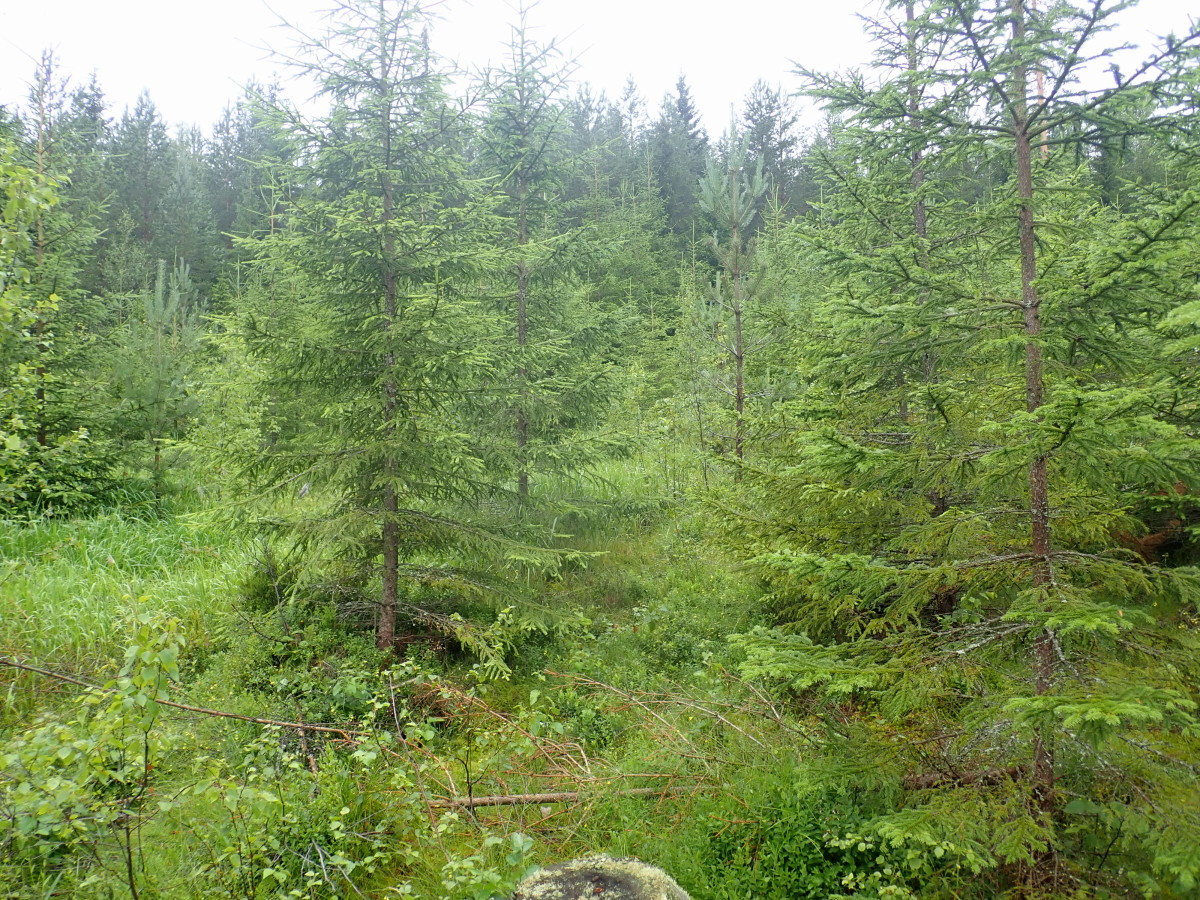 West view / Westliche Sicht