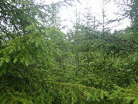 #2: East view / Östliche Sicht