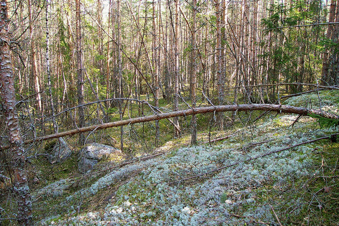 View towards south.