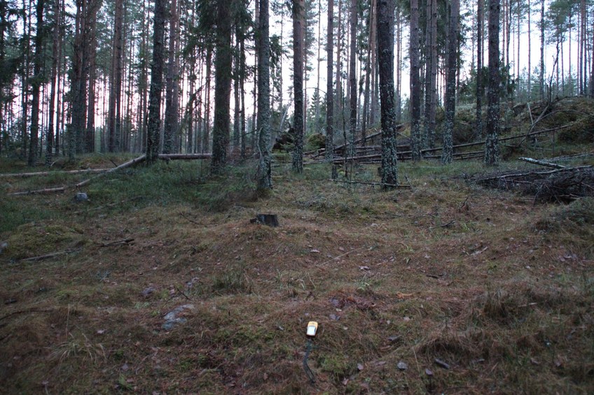 forest walk, 60 m east of the CP