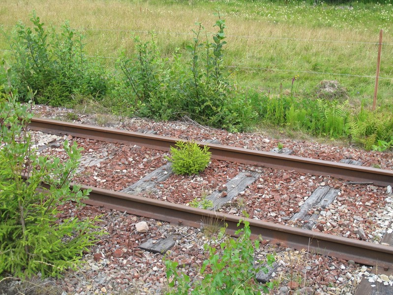 Railway line beside road