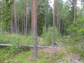 #2: North