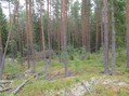 #3: East