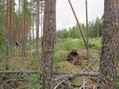 #4: South