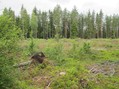 #5: West