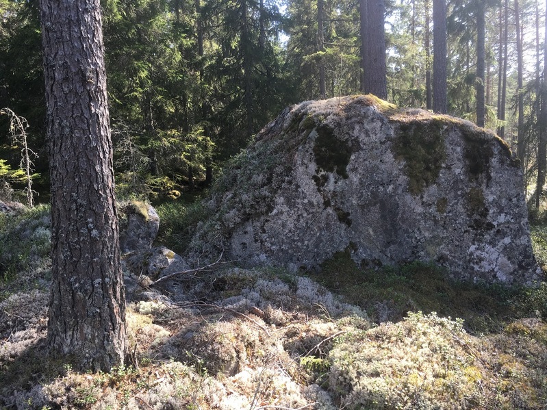 Big boulder at the Confluence Point