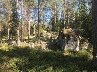 #1: The Confluence from 15 m distance