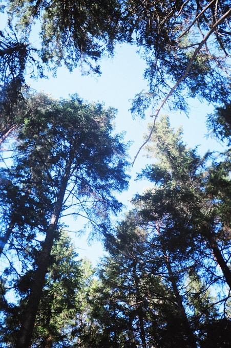 View up from the confluence towards the satellites