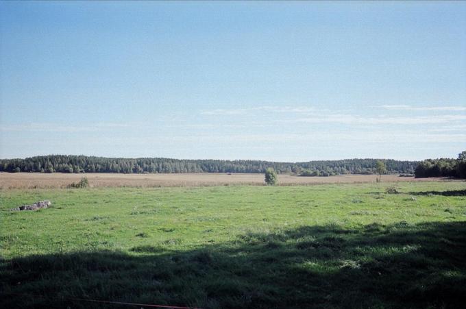 The confluence is located in the woods beyond the fields