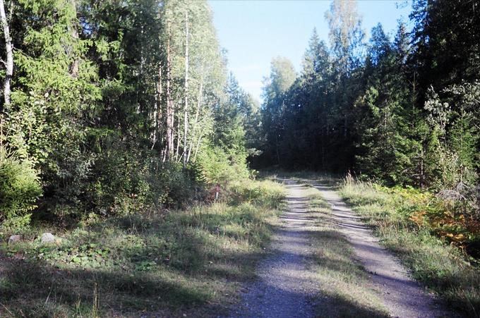 View east along the road, about 500 meters south of the confluence