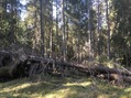 #4: View to the South