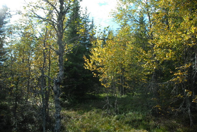 View north / Blick nach Norden