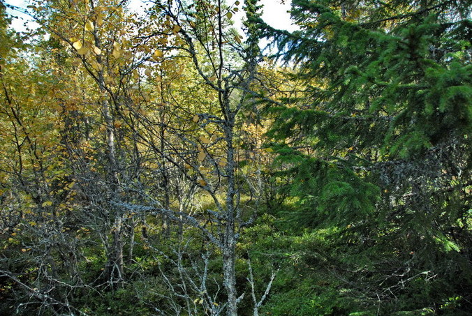 View south / Blick nach Süden