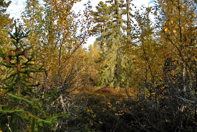 View east / Blick nach Osten