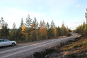 #10: Forest track near the confluence