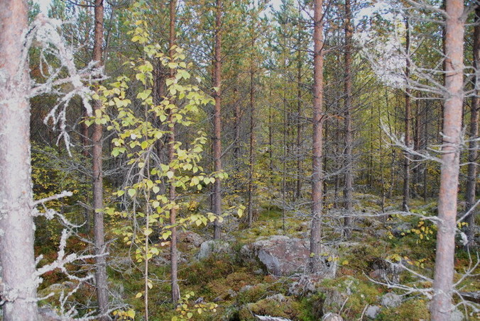 View north / Blick nach Norden