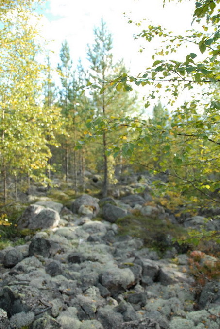 View east / Blick nach Osten