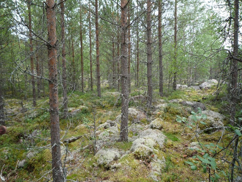 View North
