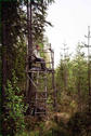 #5: Daniel sitting in a moose-hunting tower, looking for rival confluence hunters.