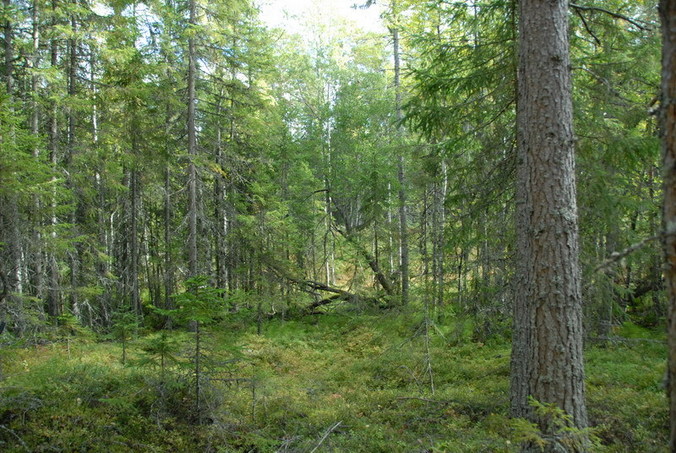 View west / Blick nach Westen