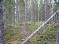 #3: View East