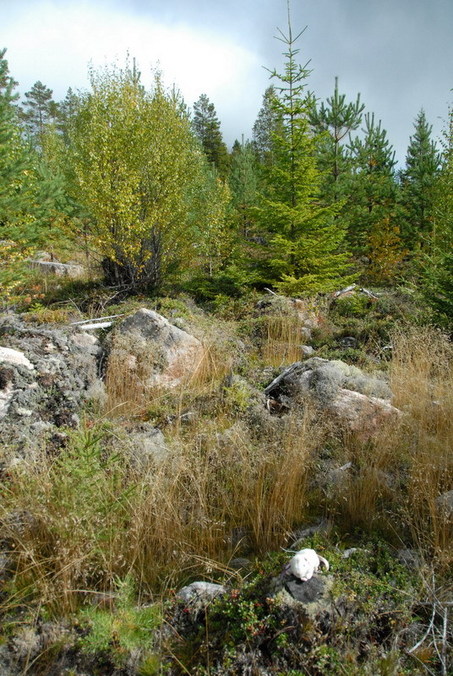 View west / Blick nach Westen