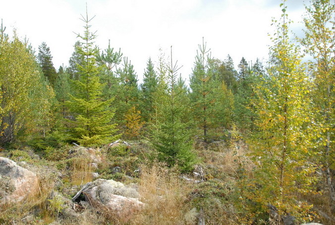 View south / Blick nach Süden