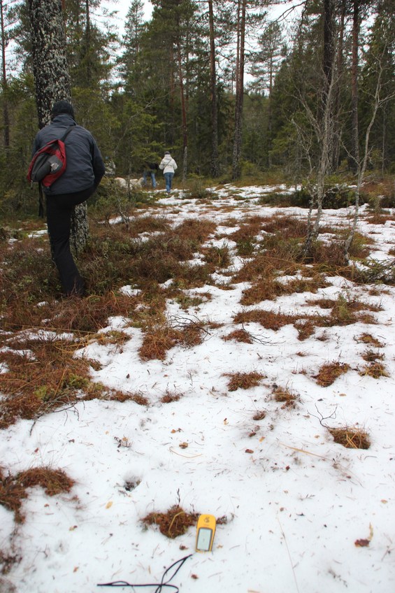 forest walk, 600 m east of the CP