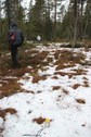 #2: forest walk, 600 m east of the CP