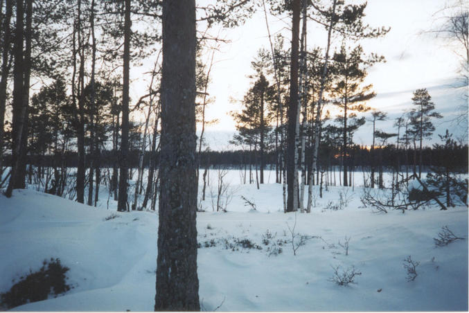 Southern view from the confluence