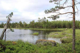 #1: Looking north from the CP