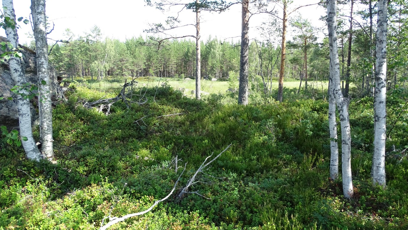 Overview