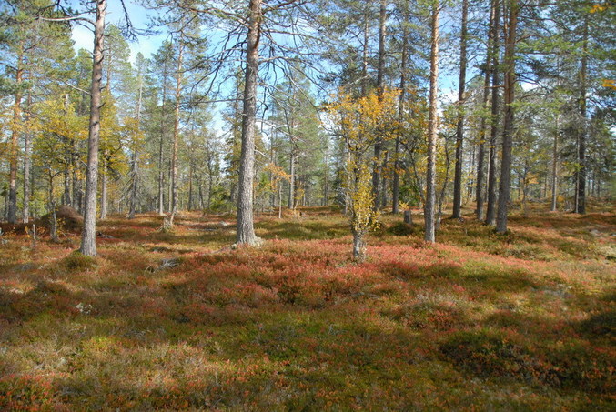 View to the point / Blick zum Confluence Punkt