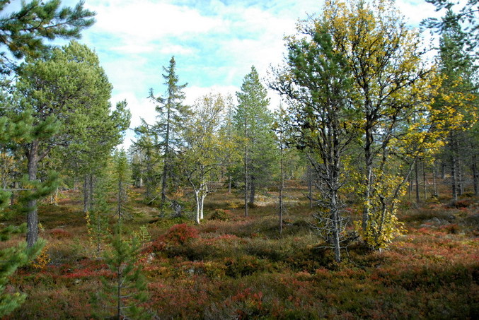 View north / Blick nach Norden