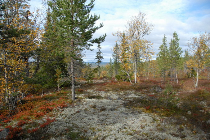 View south / Blick nach Süden