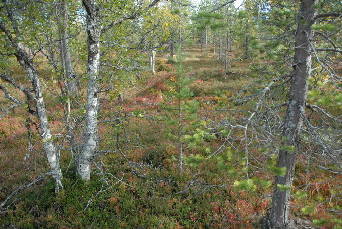 View east / Blick nach Osten