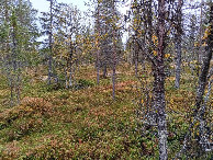 #2: Osten; view east